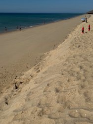 Photo of this report