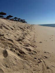 Photo of this report