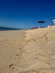 Photo of this report