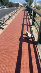 Photo of this report