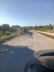 Photo of this report