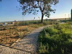 Photo of this report