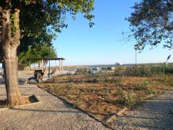 Photo of this report