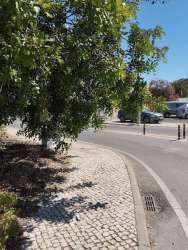 Photo of this report