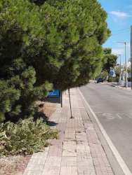 Photo of this report