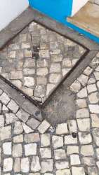 Photo of this report