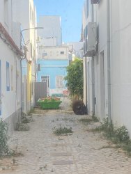 Photo of this report