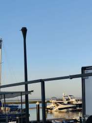 Photo of this report