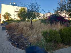 Photo of this report