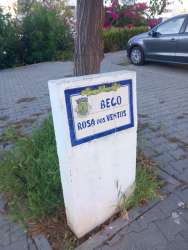 Photo of this report