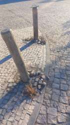 Photo of this report