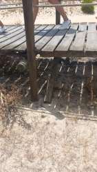 Photo of this report