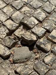 Photo of this report