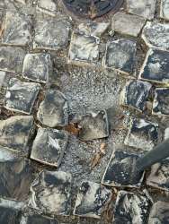 Photo of this report