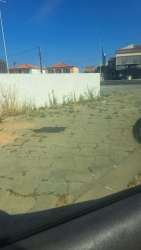 Photo of this report