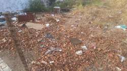 Photo of this report