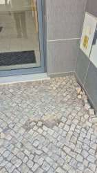 Photo of this report