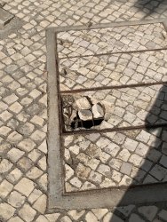 Photo of this report