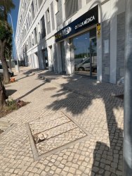 Photo of this report