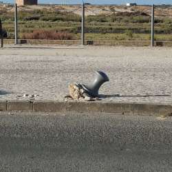 Photo of this report