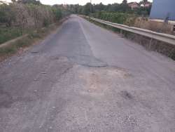 Photo of this report