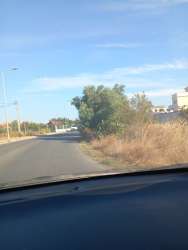 Photo of this report