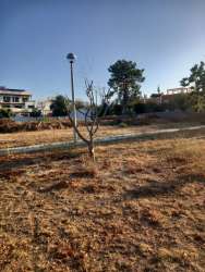 Photo of this report