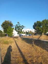 Photo of this report