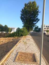 Photo of this report