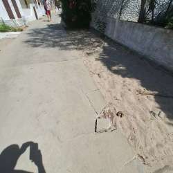 Photo of this report