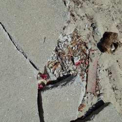 Photo of this report