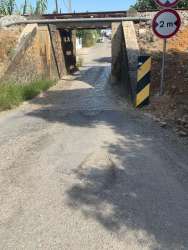 Photo of this report