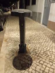 Photo of this report