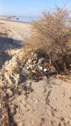 Photo of this report