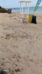 Photo of this report