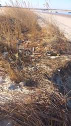 Photo of this report