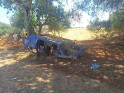 Photo of this report