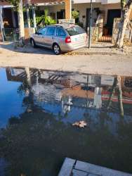 Photo of this report