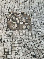 Photo of this report