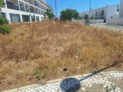 Photo of this report