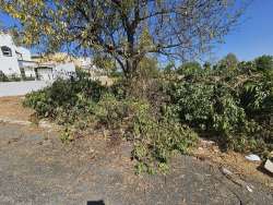 Photo of this report