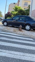 Photo of this report