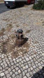 Photo of this report