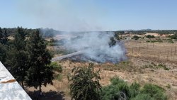 Photo of this report