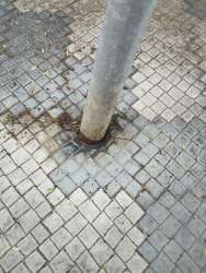 Photo of this report