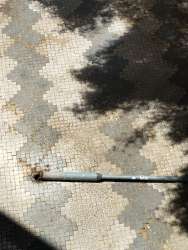 Photo of this report