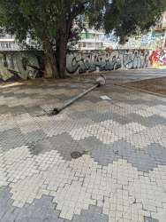 Photo of this report