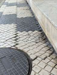 Photo of this report