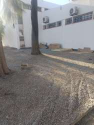 Photo of this report