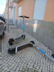 Photo of this report